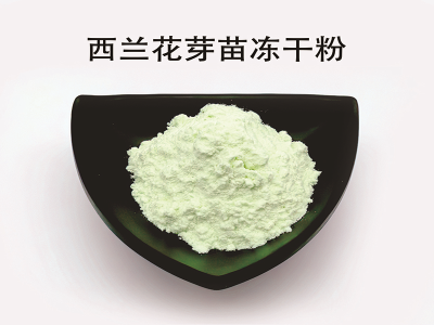 西兰花芽苗冻干粉