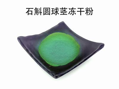 石斛圆球茎冻干粉